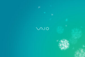 Sony VAIO 108015313498